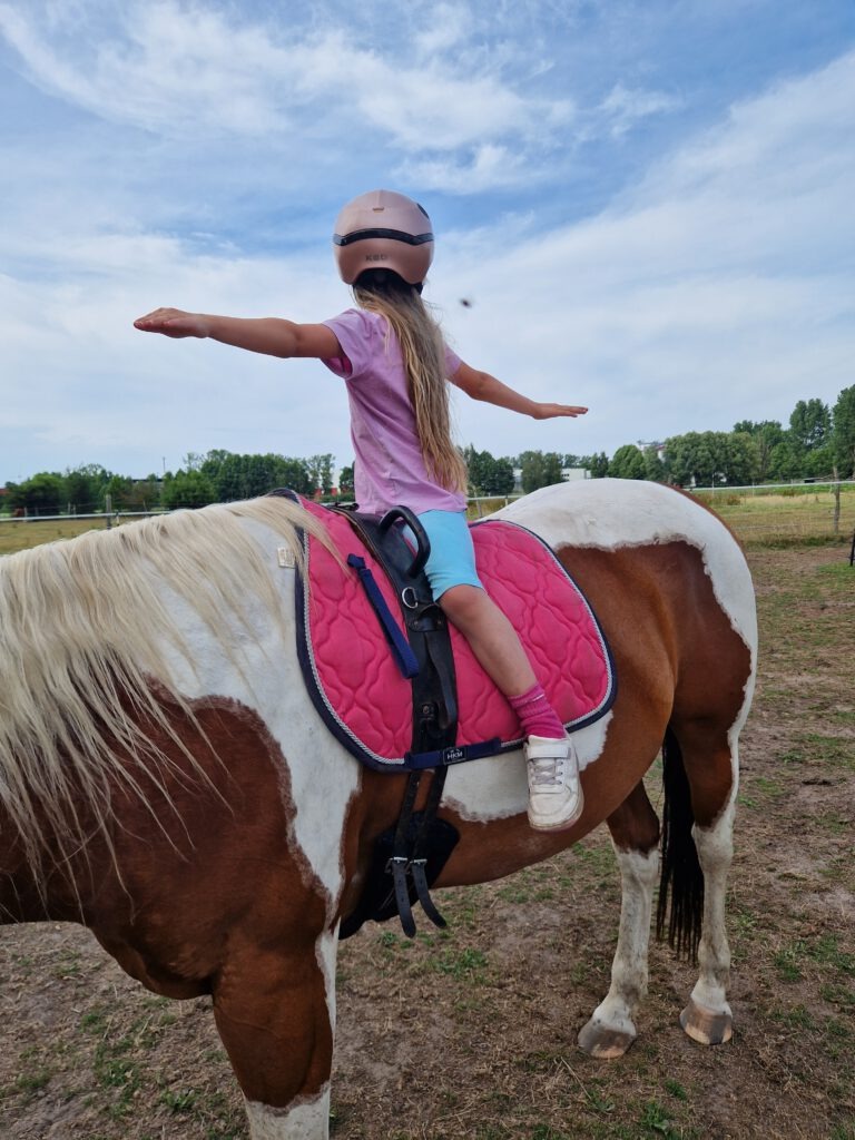 Therapeutisches Reiten und pferdegestützte Intervention